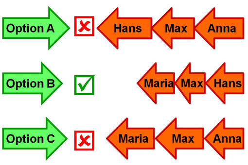 Systemisches Konsensieren