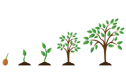 Grow