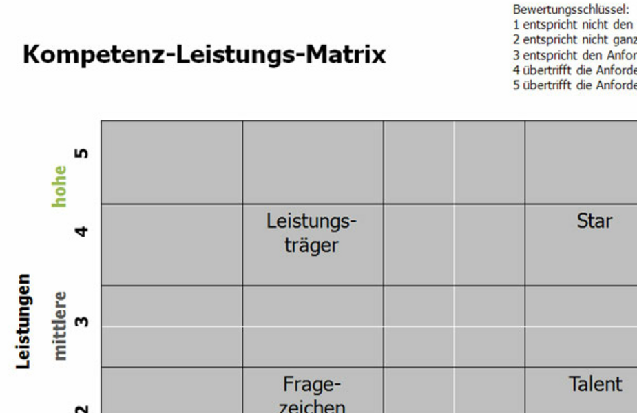 Kompetenz-Leistungs-Matrix