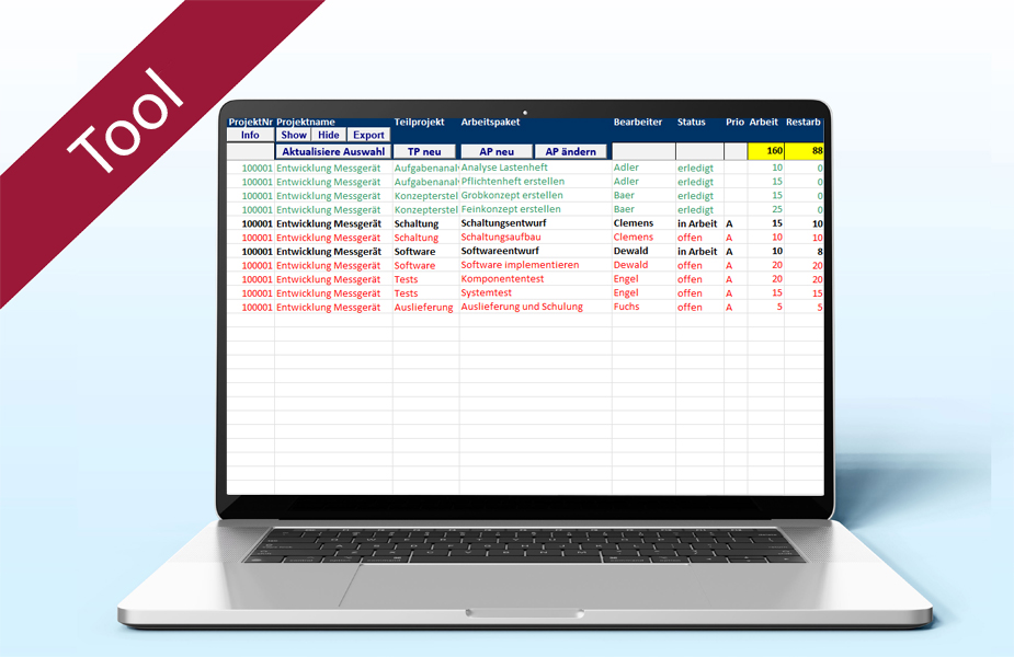 Multiprojektmanagement in KMUs | Tool Excel