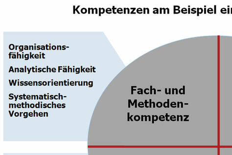 Übersicht Kompetenzprofil Projektmitarbeiter
