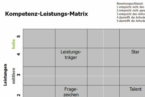 Kompetenz-Leistungs-Matrix